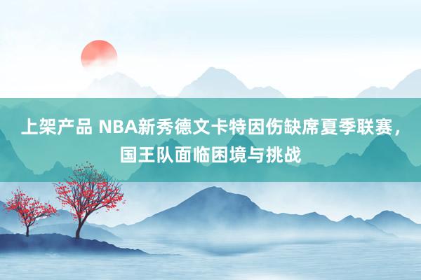 上架产品 NBA新秀德文卡特因伤缺席夏季联赛，国王队面临困境与挑战