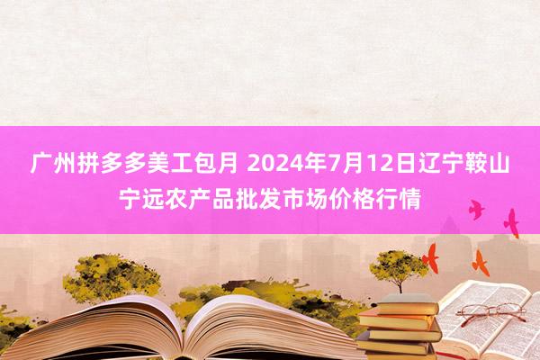 广州拼多多美工包月 2024年7月12日辽宁鞍山宁远农产品批发市场价格行情