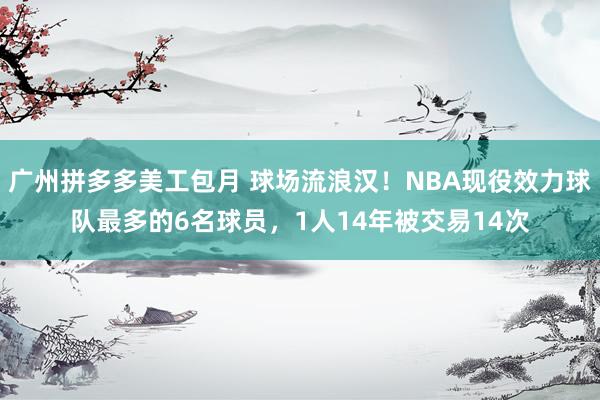 广州拼多多美工包月 球场流浪汉！NBA现役效力球队最多的6名球员，1人14年被交易14次