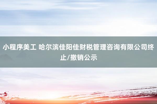 小程序美工 哈尔滨佳阳佳财税管理咨询有限公司终止/撤销公示