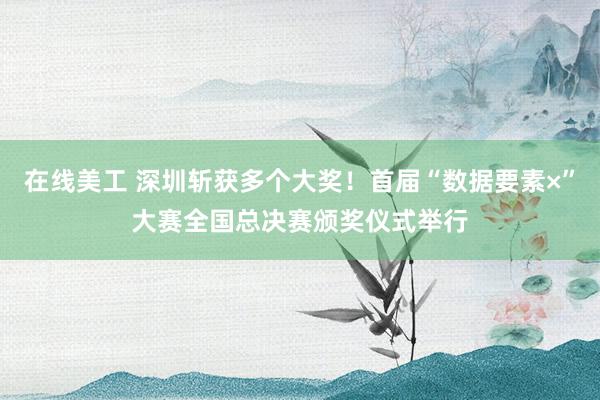 在线美工 深圳斩获多个大奖！首届“数据要素×”大赛全国总决赛颁奖仪式举行