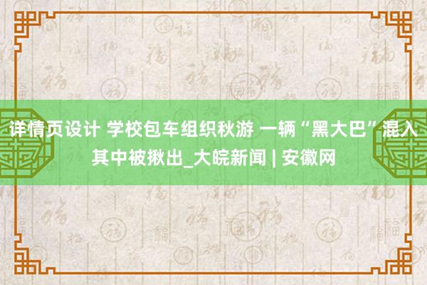 详情页设计 学校包车组织秋游 一辆“黑大巴”混入其中被揪出_大皖新闻 | 安徽网